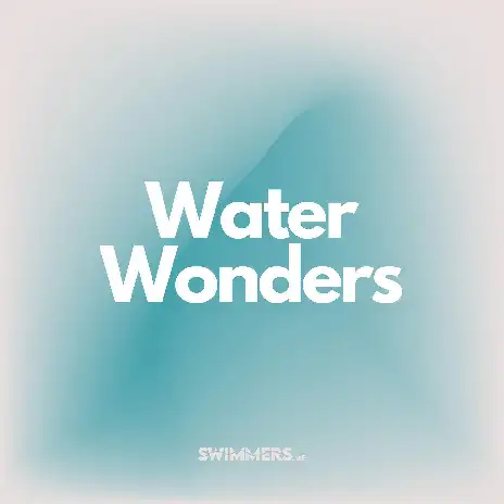 341950894 1203799480279457 8166848597161202541 n